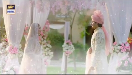 Dil-e-Veeran Episode 49 - 28th Jul 2022